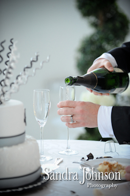 Best Orlando Wedding photographer - Sandra Johnson (SJFoto.com)
